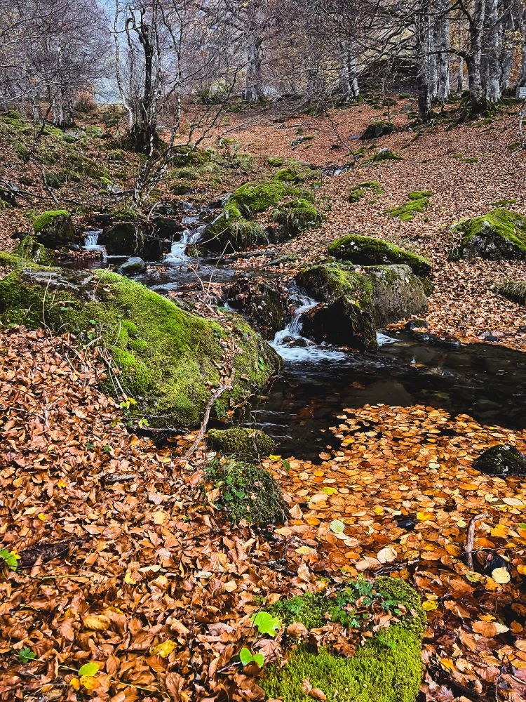 otoño en la montaña en lleida