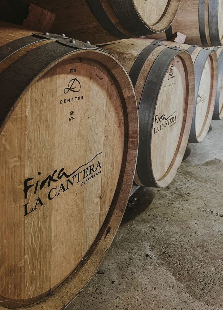 barricas de vino en navarra