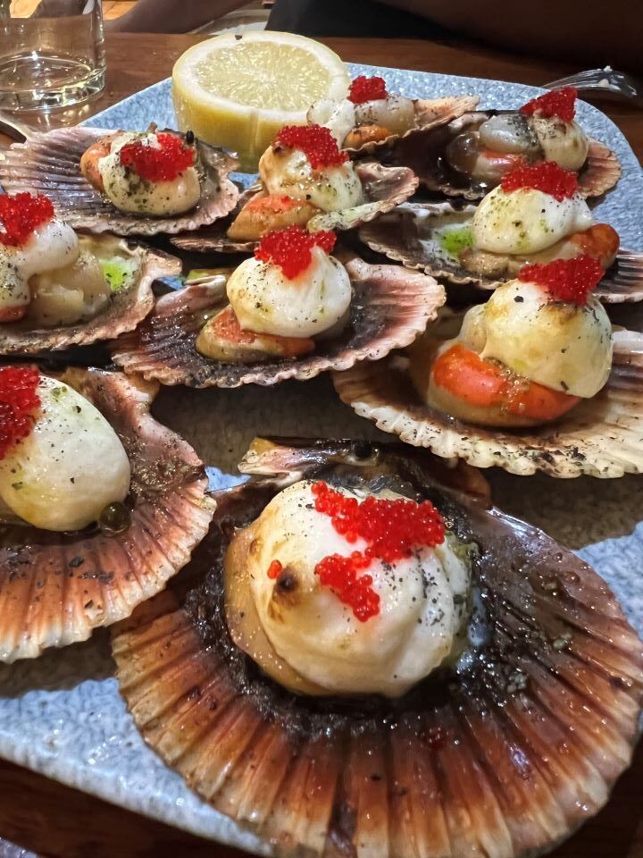 vieiras en hondarribia