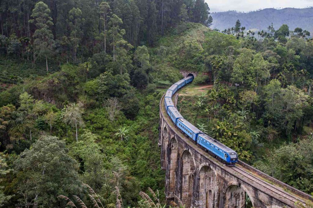 puente que paso un tres azul y jungla alrededor