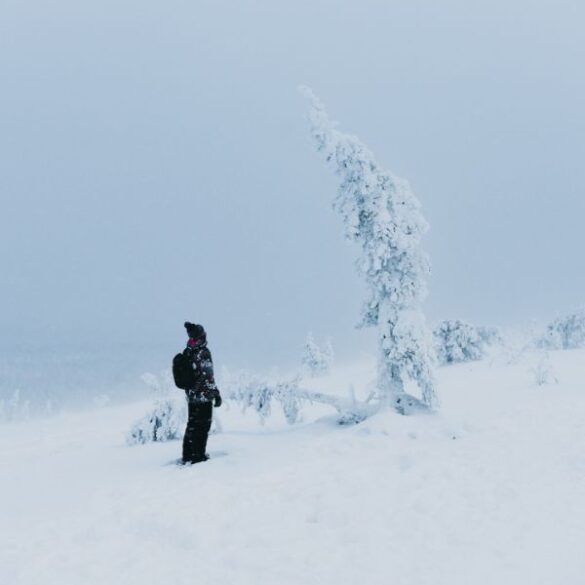arbol cubierto de nieve y chico al lado mirandolo desde abajo en un paisaje nevado