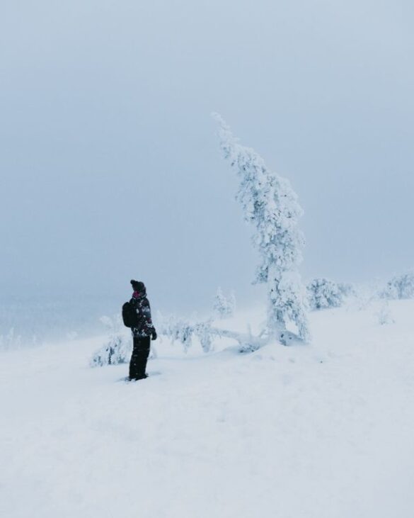 arbol cubierto de nieve y chico al lado mirandolo desde abajo en un paisaje nevado