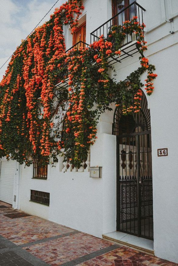 Malaga