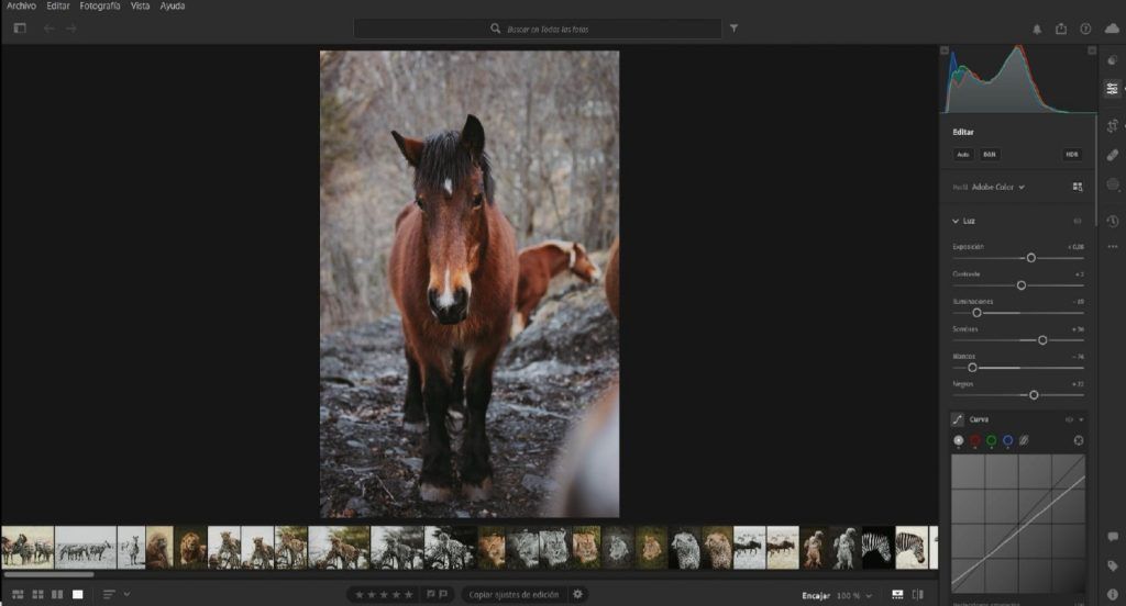 Lightroom