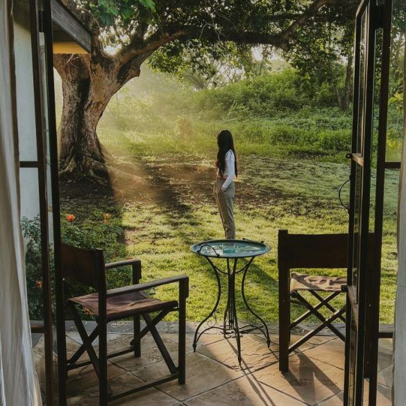 Safari Ventana Movil