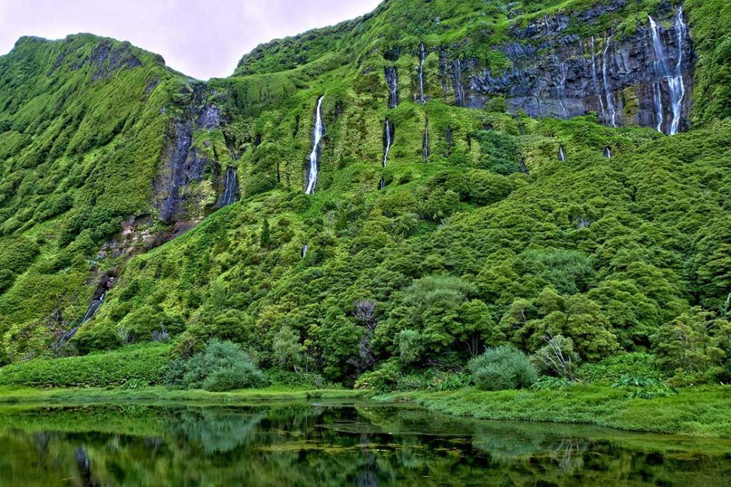 isla flores