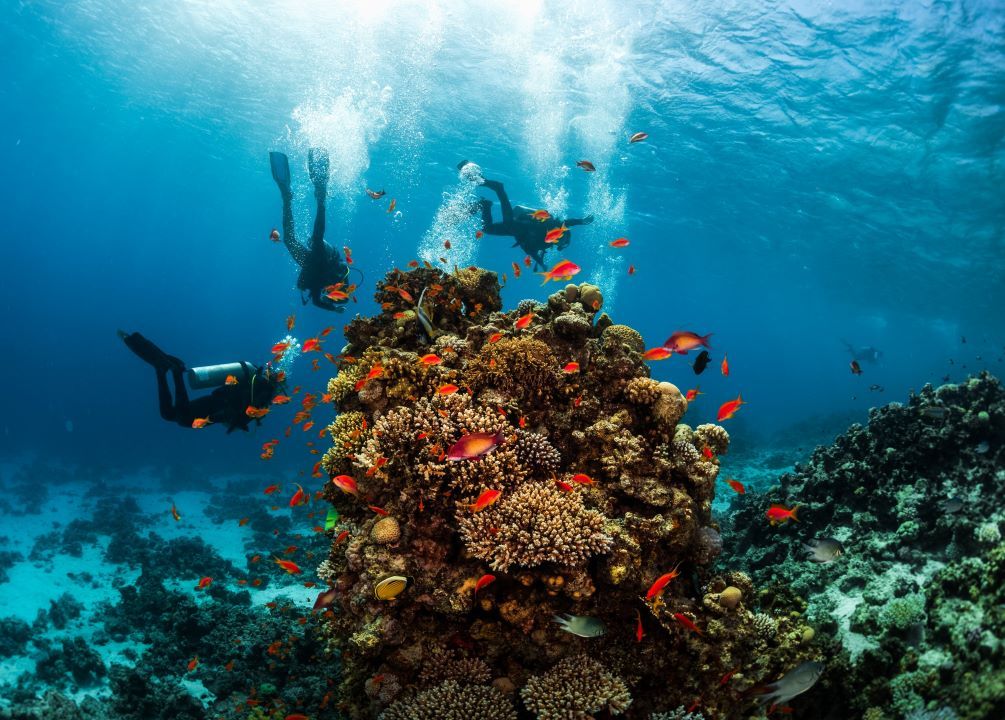 Guía completa de El Nido en Filipinas