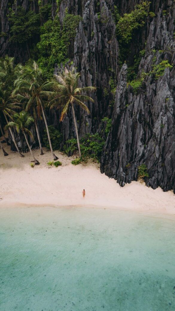 el nido