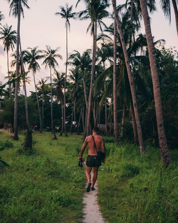 chico de espaldas sin camiseta en una paisaje de palmeras caminando