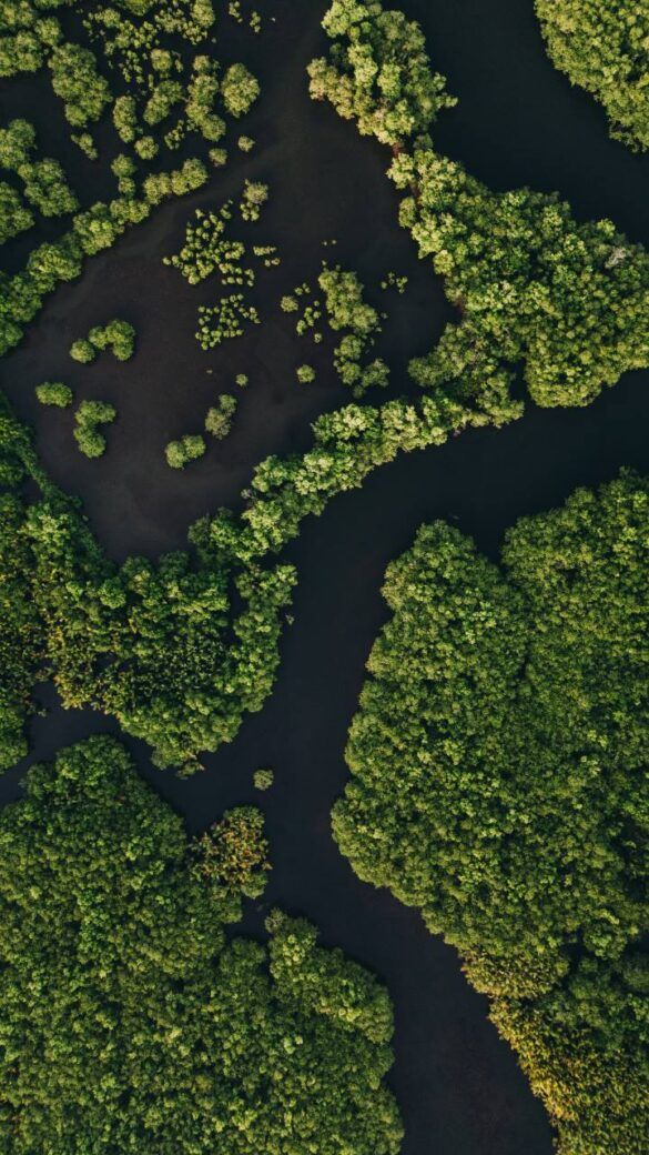 maasin river siargao portafolio