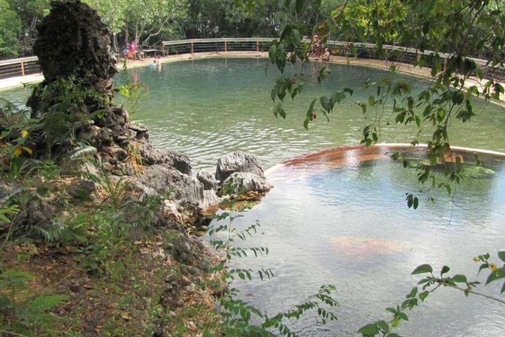 vistas de una piscina naturales