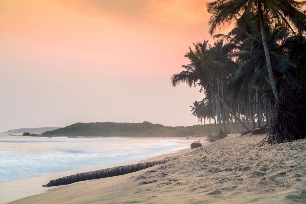atardecer en la playa con palmeras