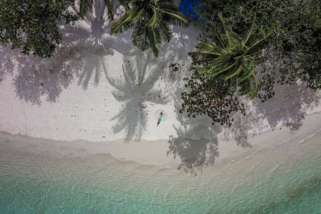 vistas aereas de playa arena blanca con palmeras y chica tumbada