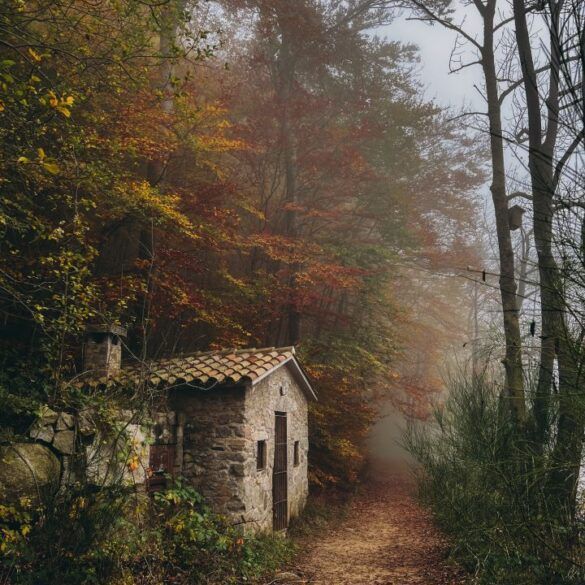 paisaje-otoño