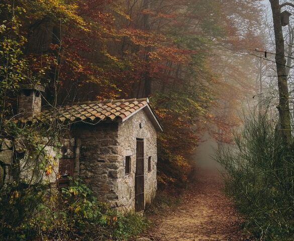 caseta en un paisaje otoñal
