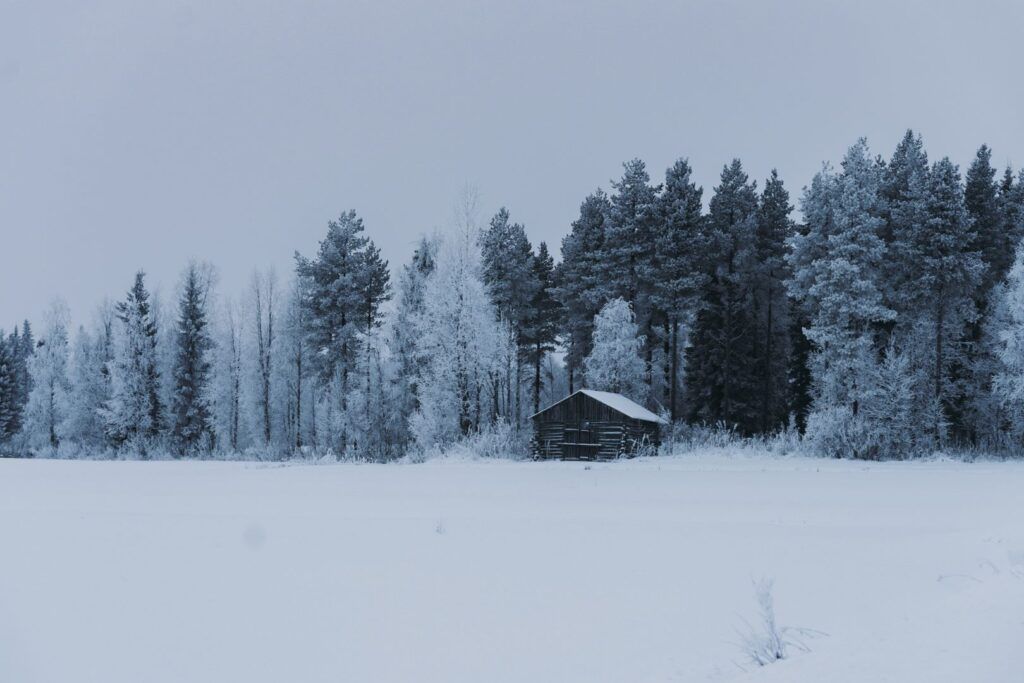 paisaje nevado con casa de madera