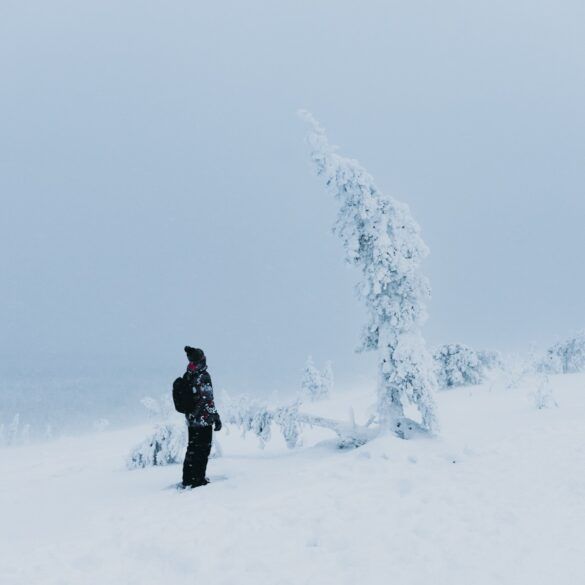 arbol cubierto de nieve y chico al lado mirandolo desde abajo en un paisaje nevado