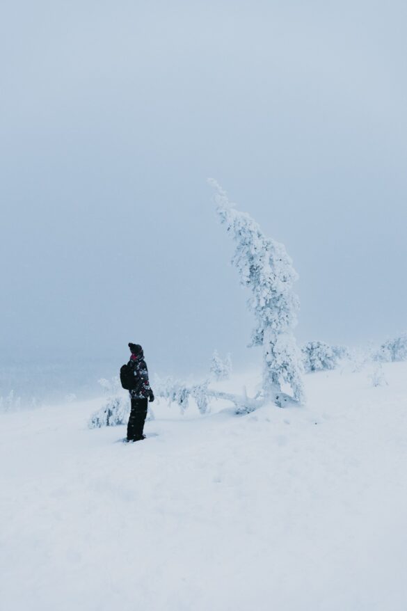 arbol cubierto de nieve y chico al lado mirandolo desde abajo en un paisaje nevado