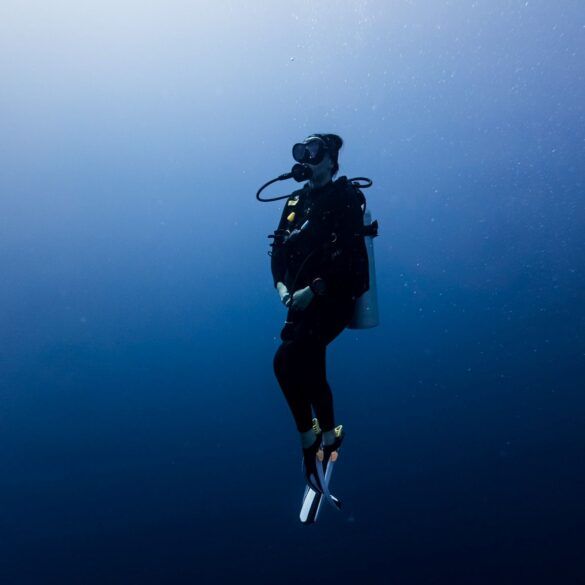 buceo_maldivas