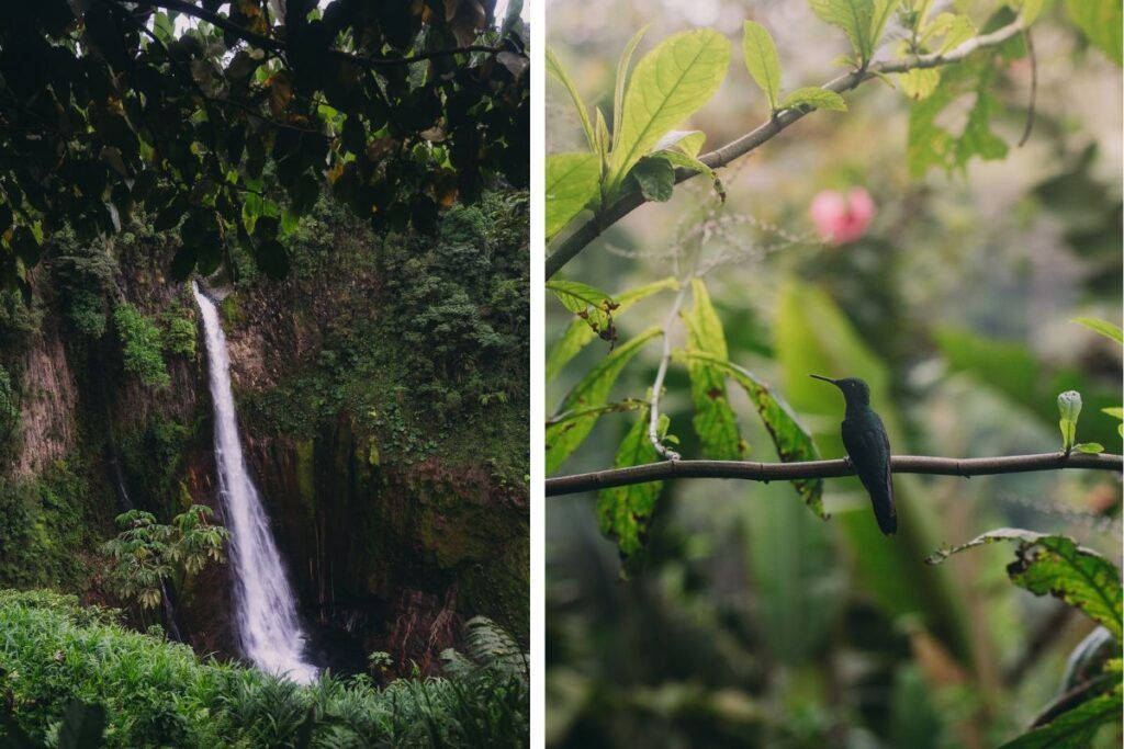 Descubre Costa Rica