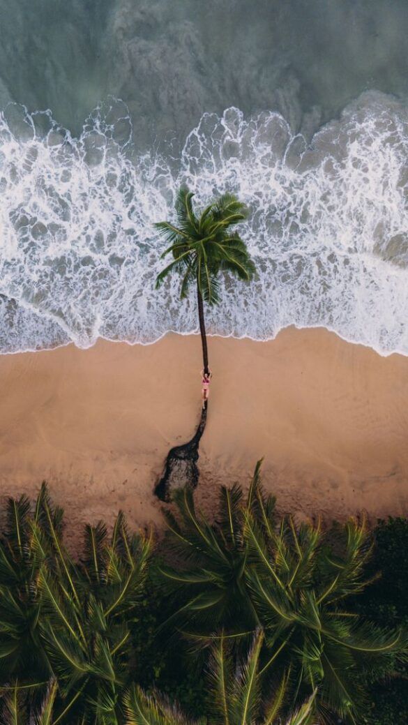 Aprender a editar tus fotografias