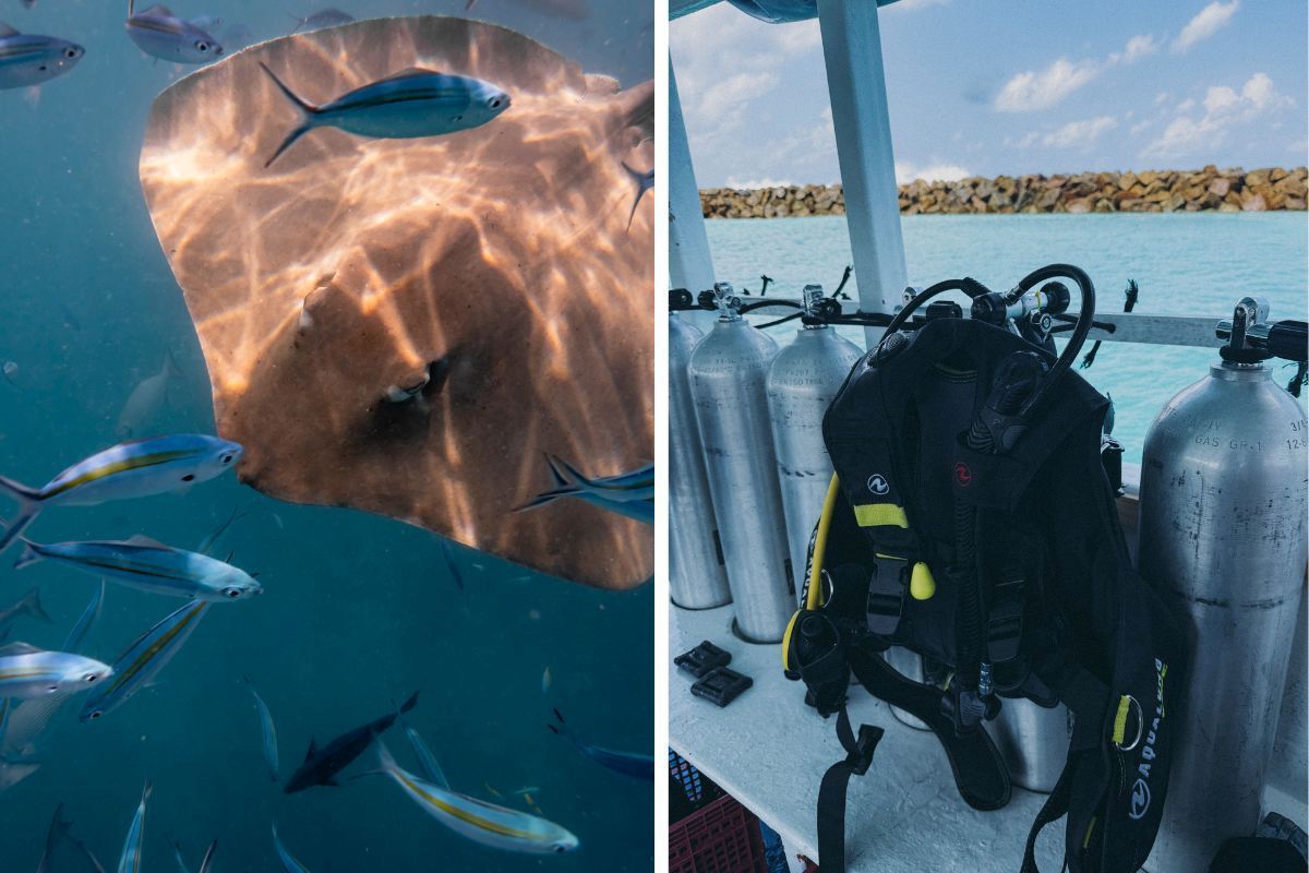 Buceo en Maldivas