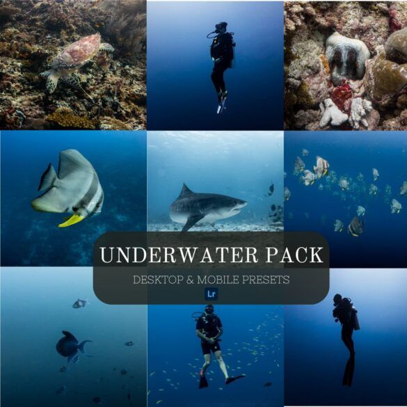 Presets-Lightroom-Underwater